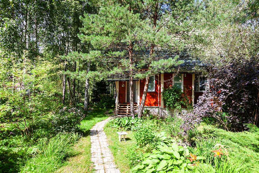 5 Tips for Clearing an Overgrown Garden