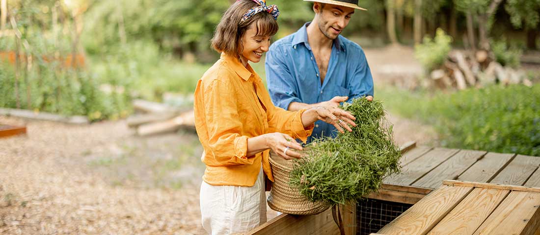 A Basic Guide to Garden Clearance