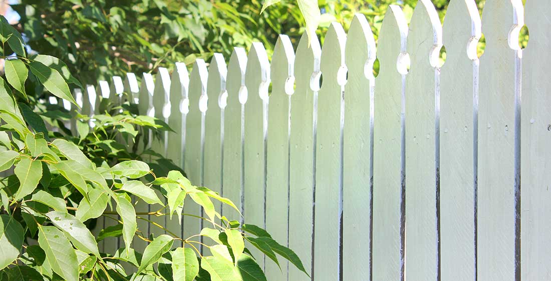 The Essential Guide To Choosing The Best Garden Fence