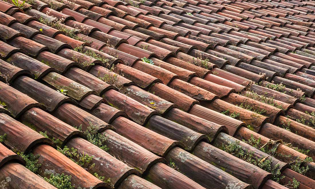 Top 10 Most Common Roof Problems You Should Know